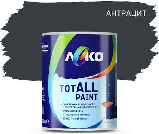 Totall Paint Antracit 0.600 L