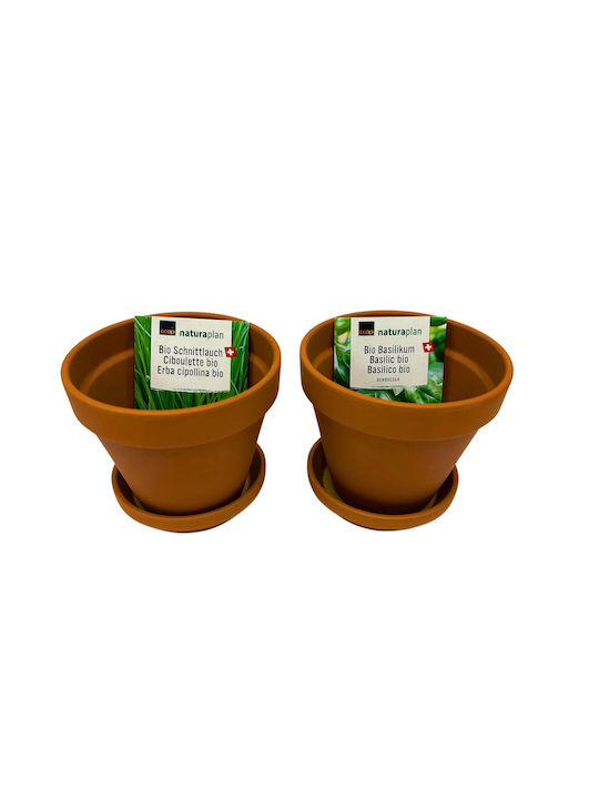 Pot Σετ 2 Γλάστρες Terracotta