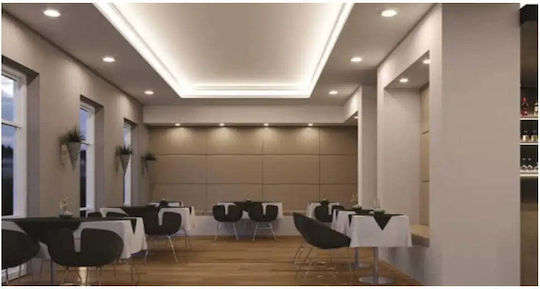 Ledvance Διακοσμητικό Φωτιστικό LED Φυσικό Λευκό 4000K