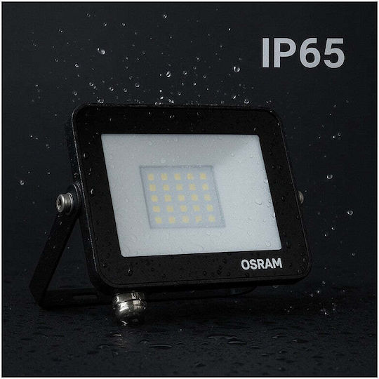 Ledvance Floodlight Proiector LED Etanș 30W Alb Rece 6500K IP65