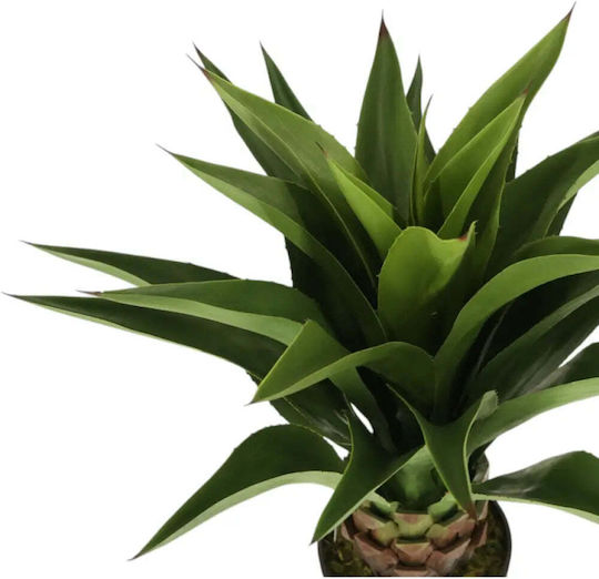 Artificial Agave Plant 82cm Hd Hd-10986