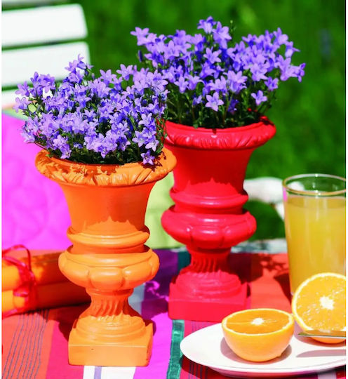 Spray Metal Wood Traffic Red