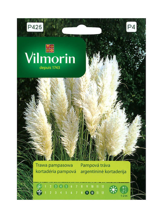 Pampasgras Samen Vilmorin