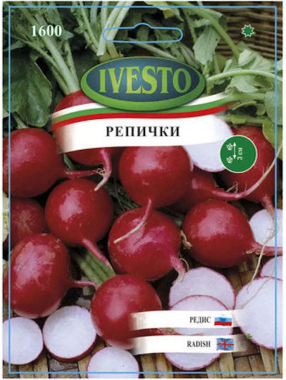 Radish Seeds Champion Ivesto