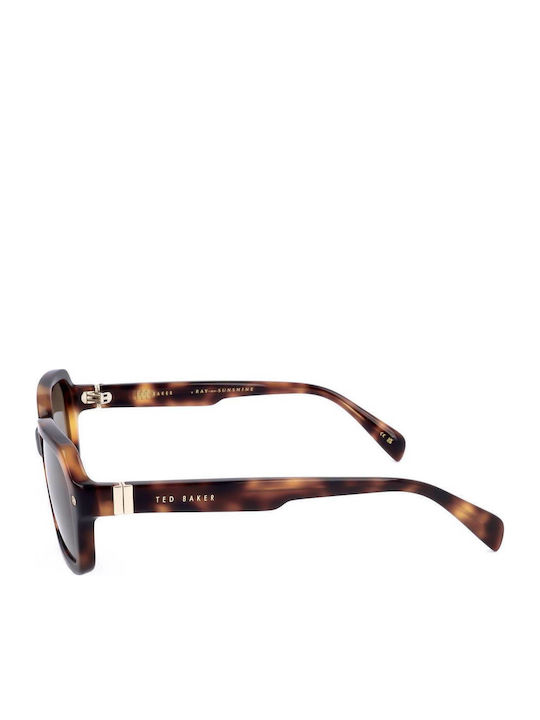 Ted Baker Tba Tb1697 Unisex Sunglasses with Brown Horn-Rimmed Frame and Brown Lenses