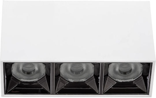 kelvo LED Natural White Spot with 13 Lights in White Colour
