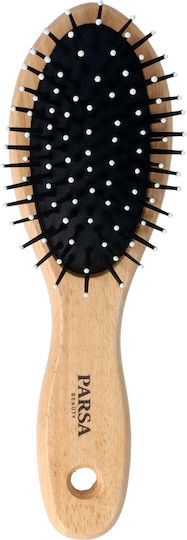 Parsa Hair Brush
