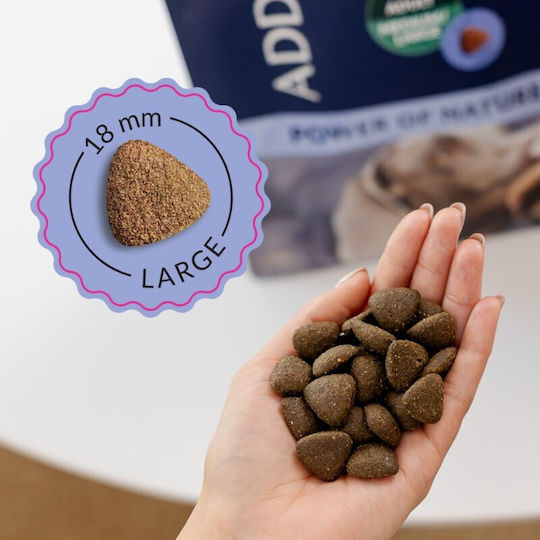 Nature 10kg Dry Food for Adult Dogs of Medium and Large Breeds with Lamb