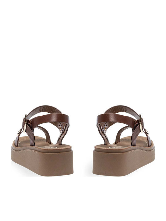 Platforme Dama Tabac Maro