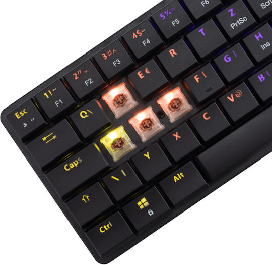 White Shark GK-006131 Gaming Mechanical Keyboard with RGB Lighting (English US)