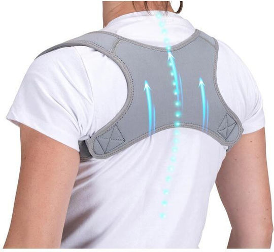 Support Belt Adjustable Back Splint 2.4cm for Men for Women in Gray Colour