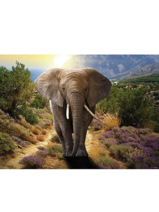 Photo Wallpaper Wall Gray 160x110cm