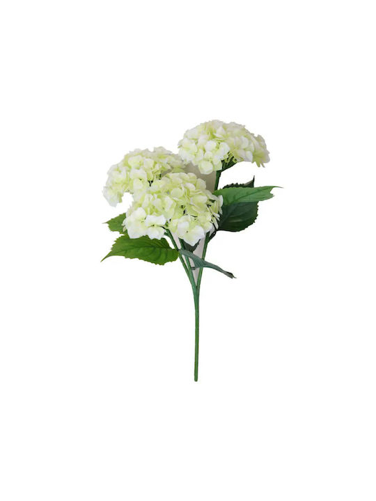 Decorative Plant In Pot Rossima Hydrangea Decorative Plant In Pot Rossima Hydrangea