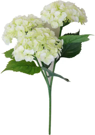 Decorative Plant In Pot Rossima Hydrangea