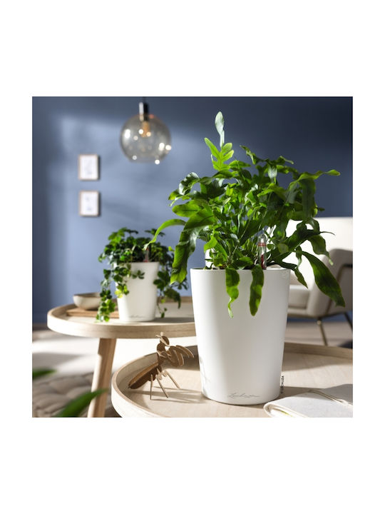 Lechuza Mini Deltini Αυτοποτιζόμενη Γλάστρα Basalt Grey 10x10x13εκ.