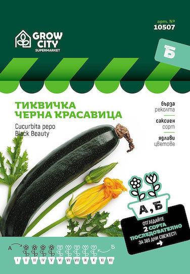 Pumpkin Seeds Black Beauty Sm