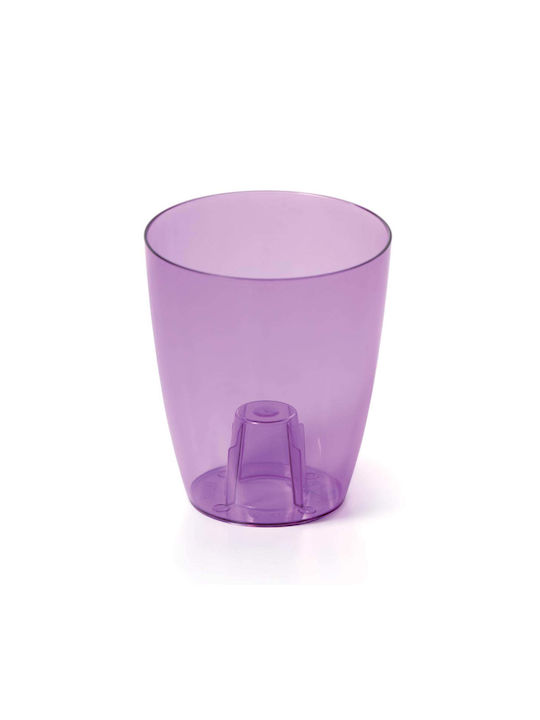Orchid Pot Coubi 13cm Purple Transparent Orchid Pot Coubi 13cm Purple Transparent