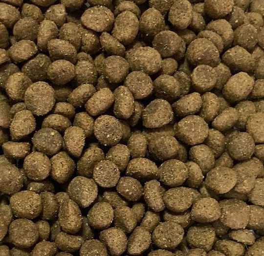 Nutra Gold 5kg Dry Food for Adult Dogs with Beef and Salmon