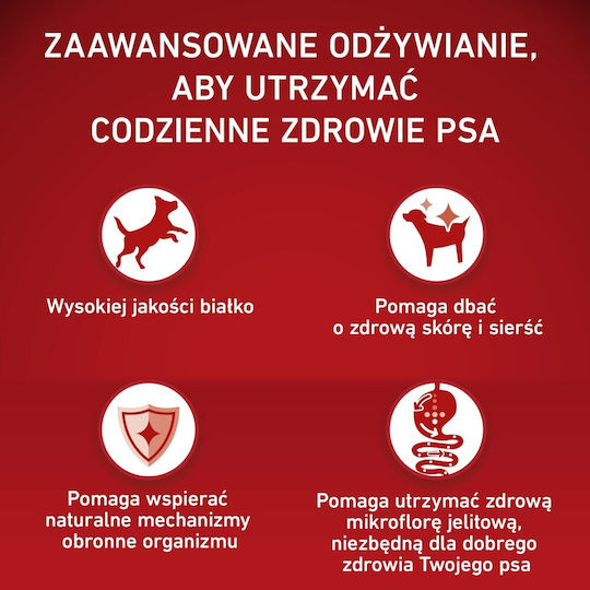 Purina One 2.5kg Dry Food for Adult Dogs of Medium and Large Breeds with Lamb and Rice