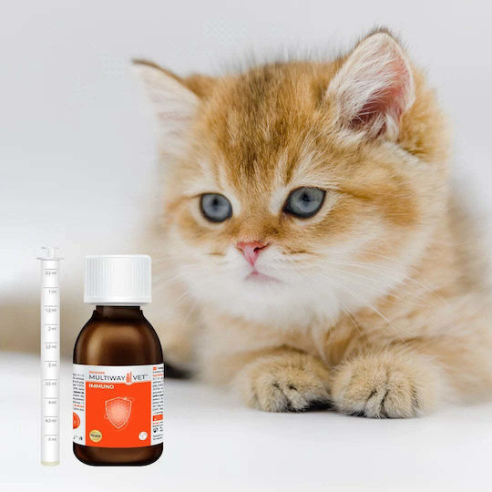 JM Sante Multivitamine Hund und Katze 100gr 90ml für die Stärkung des Immunsystems