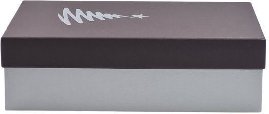 DS Boxes Χριστουγεννιάτικο Κουτί για Δώρο 34x10.5x21εκ.