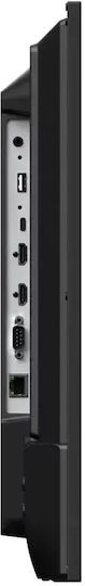 Sharp E329 Public Display D-LED IPS 4K UHD 32" με USB Media Player