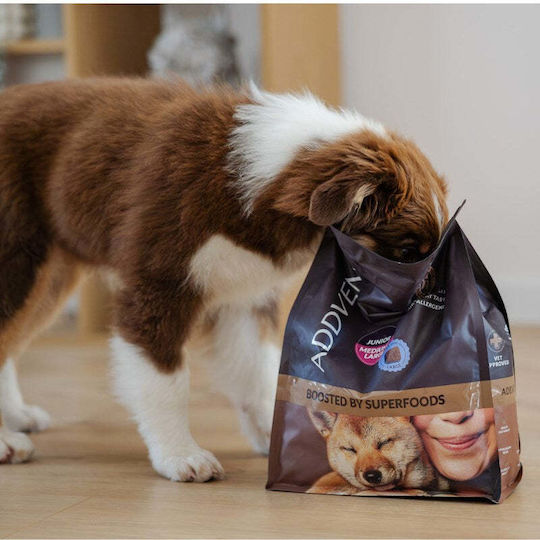 Forza10 10kg Dry Food for Puppies of Medium & Large Breeds