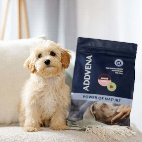 Forza10 10kg Dry Food for Small Breed Puppies
