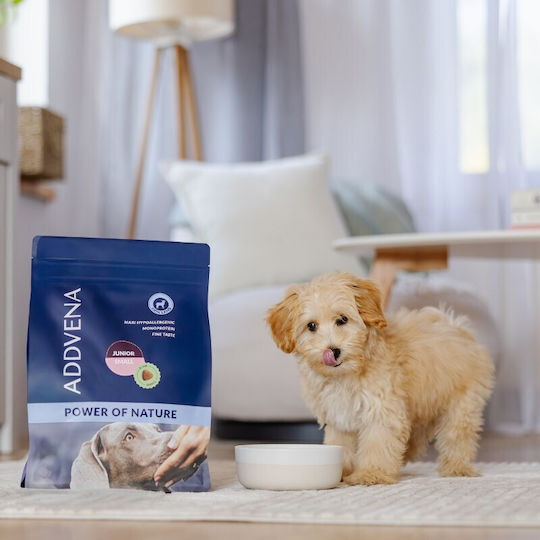 Forza10 10kg Dry Food for Small Breed Puppies