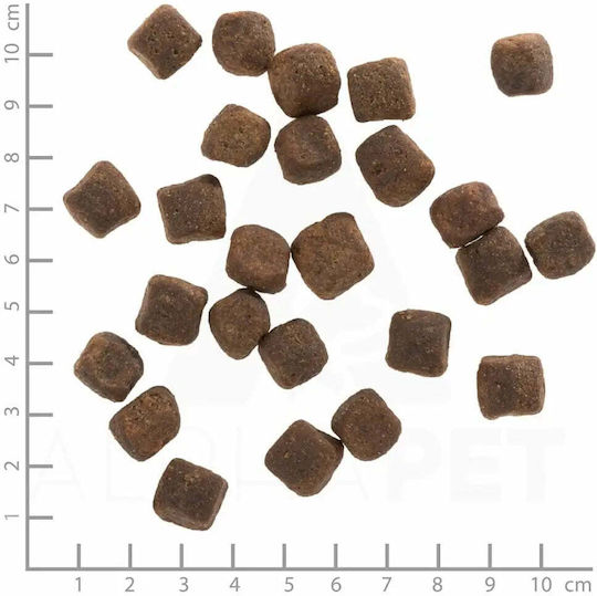 Wolfsblut 12.5kg Hrană Uscată pentru Câini Adulţi cu Cerb