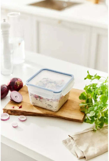Rotho Babydesign Mittagsboxen 1.4l