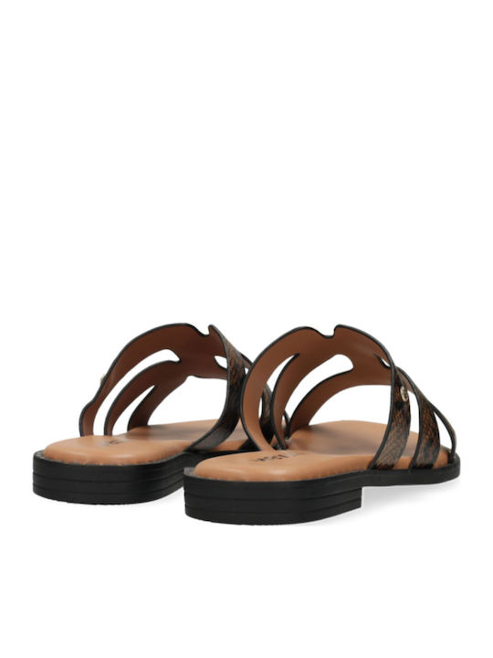 Mexx