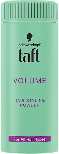 Taft Instant True Volume 10gr