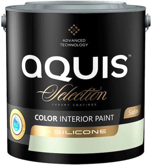 Interior Paint Silicone Weeping Willow 2.5 L Aquis