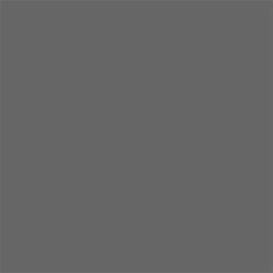Extra Alkyd Paint 2.5 L Ral 7046 Dekorator