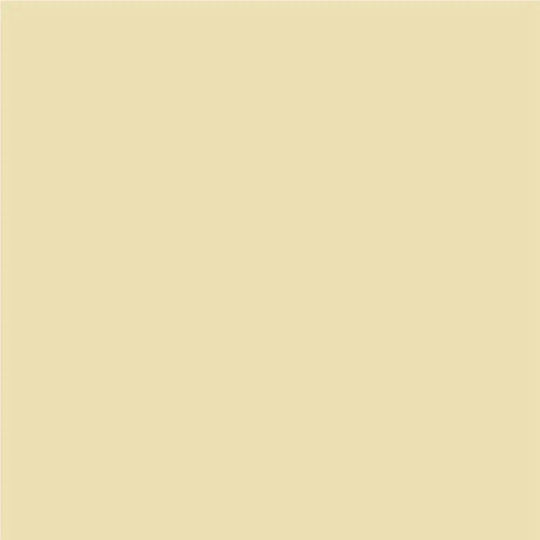Interior Silicone Paint Tropical Mango 2.5 L Aquis