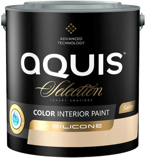 Interior Paint Silicone Irish Coffee 2.5 L Aquis