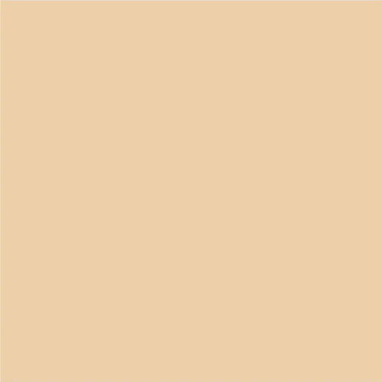 Interior Paint Silicone Irish Coffee 2.5 L Aquis