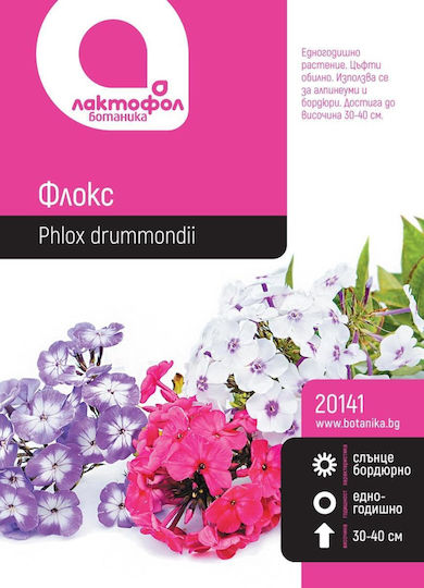 Semințe Botanice Phlox