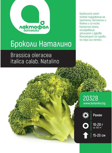 Broccoli Seeds Natalino Botanic