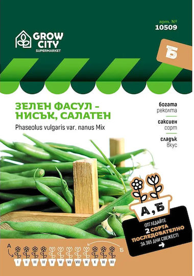 Green Bean Seeds Low Salad Sm