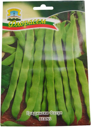 Lodi Bean Seeds