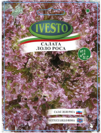 Ivesto Lollo Rosa Lettuce Seeds