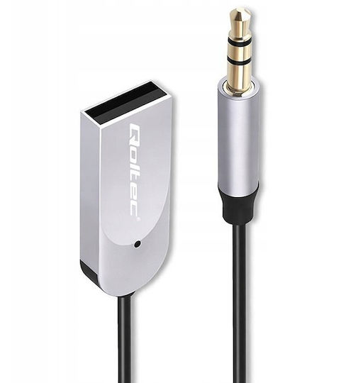 Qoltec Wireless Audio Receiver Adapter Hifi Home & Car Bluetooth 6.0 2 X Rca 1 X Aux 3.5mm Usb Microphone