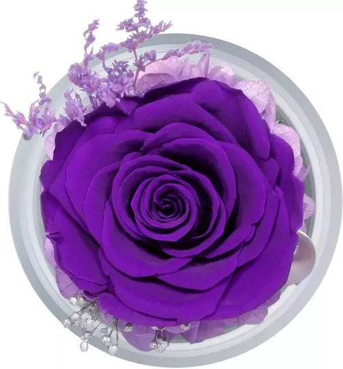 Handmade Eternal Rose Angel Glass Container