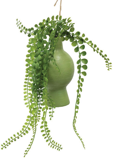 Outdoor Succulent Plant Marhome