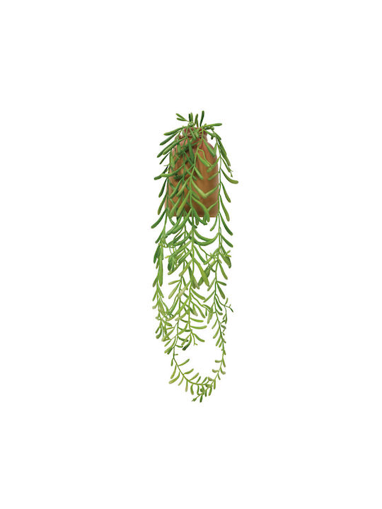 Plantă Suculentă În Ghiveci Maro 43cm Marhome