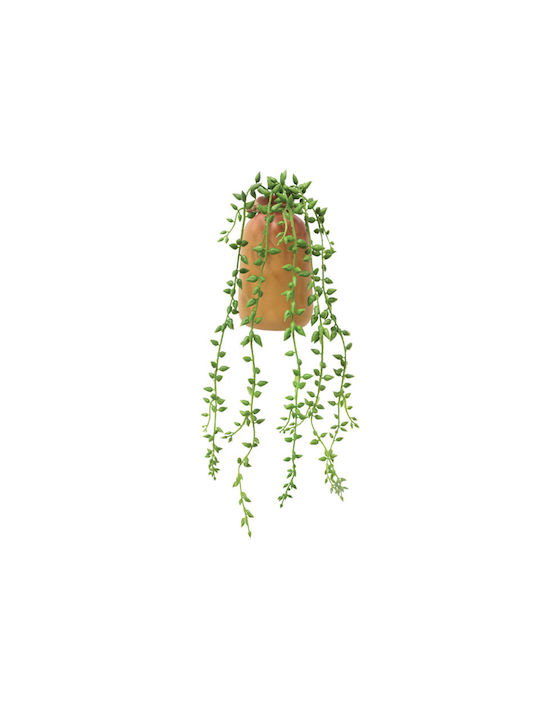 Plantă Suculentă În Ghiveci Maro 34cm Marhome