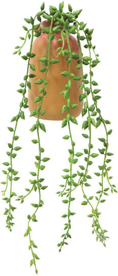 Plantă Suculentă În Ghiveci Marhome Cafeniu Plantă Suculentă În Ghiveci Marhome Cafeniu
