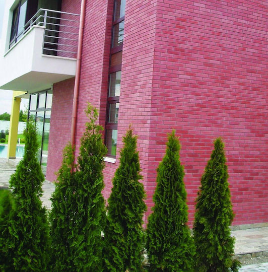 Facade Brick 24 X 6 X 2 Red Facade Brick 24 X 6 X 2 Red